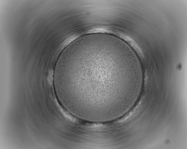 X0000099501233200805221353