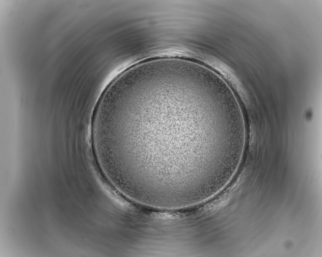 X0000099501234200805221353