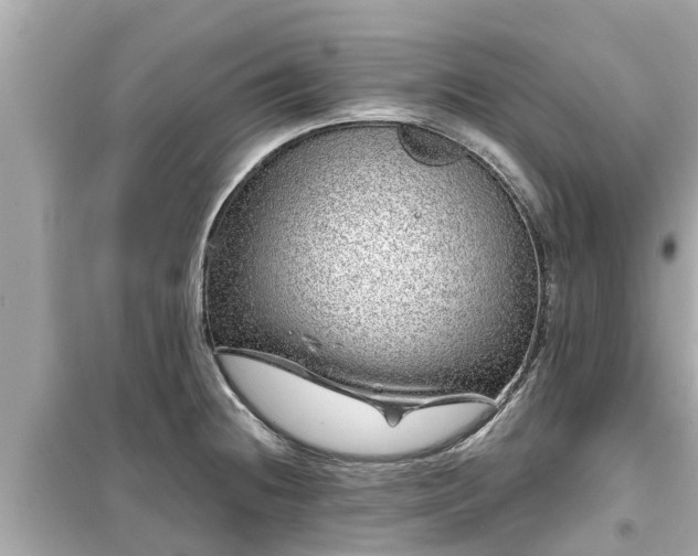 X0000099501236200805221353