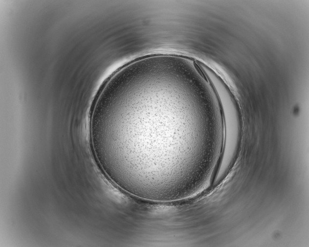 X0000099501238200805221353