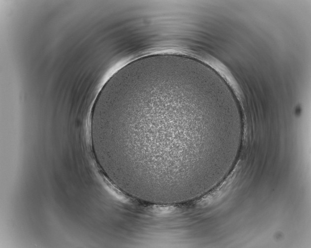 X0000099501242200805221353