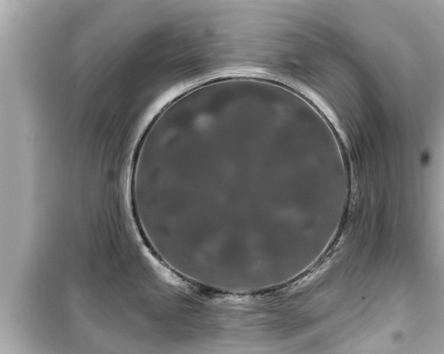 X0000099501245200805221353