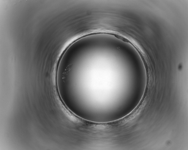 X0000099501246200805221353
