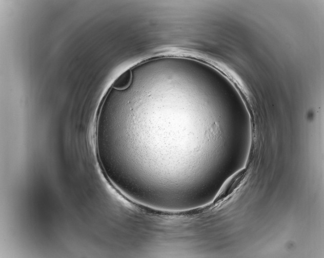 X0000099501247200805221353