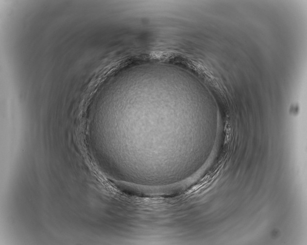 X0000099501249200805221353