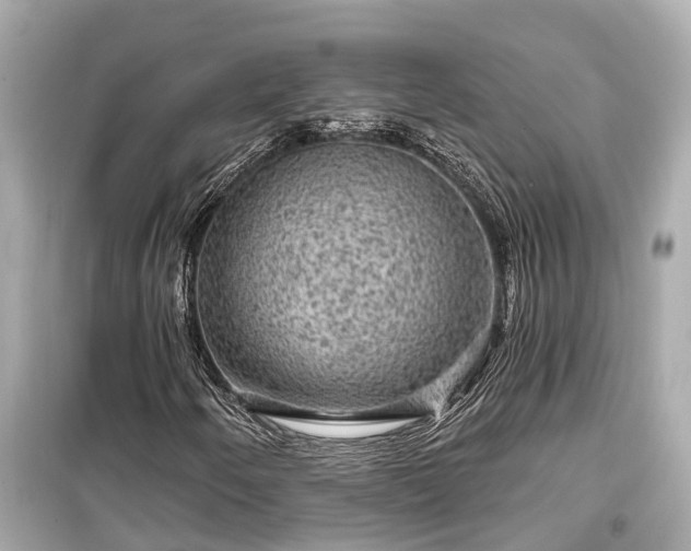 X0000099501250200805221353