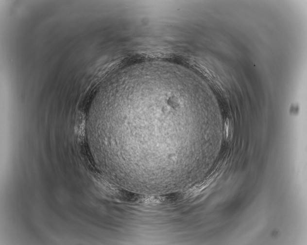 X0000099501251200805221353