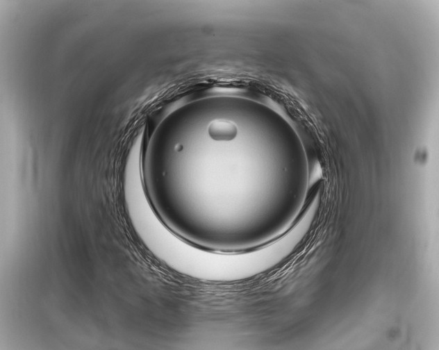 X0000099501253200805221353