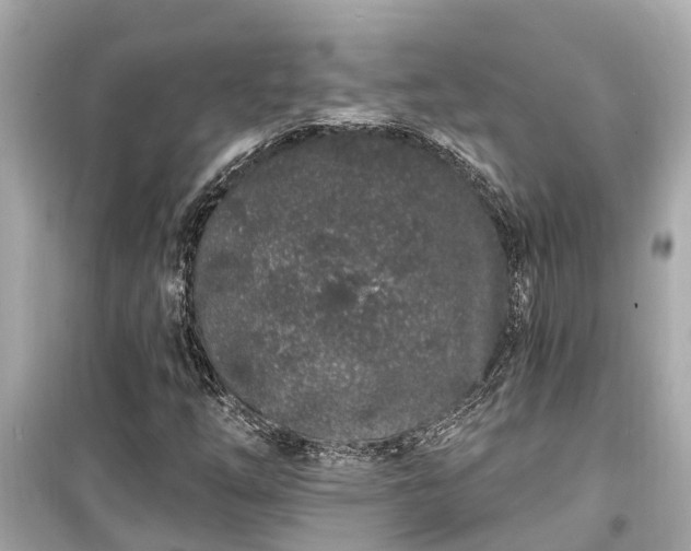 X0000099501254200805221353
