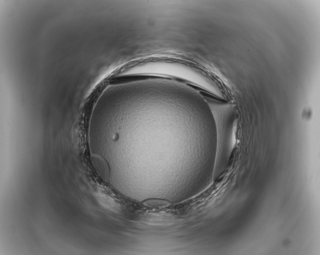 X0000099501256200805221353