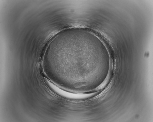 X0000099501257200805221353