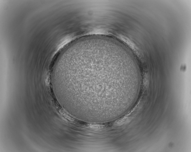 X0000099501258200805221353