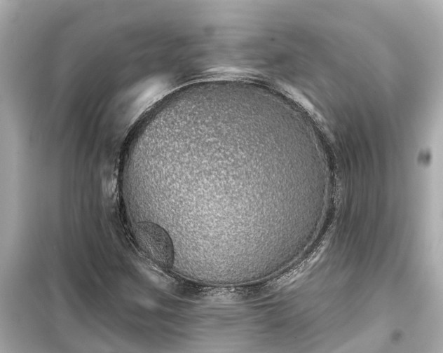 X0000099501259200805221353