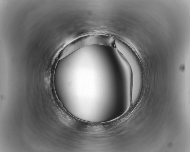 X0000099501260200805221353