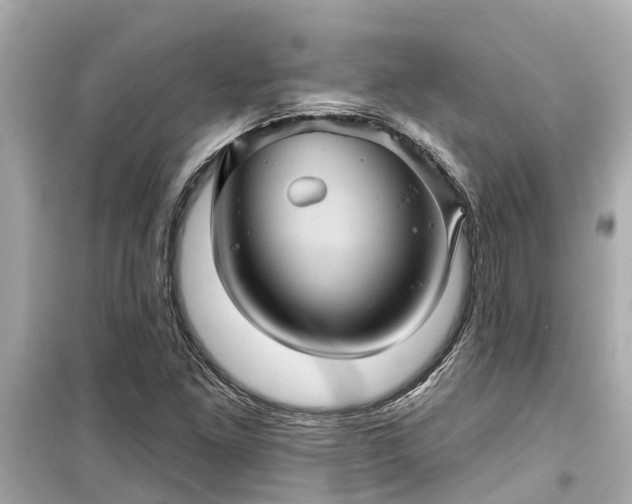X0000099501261200805221353