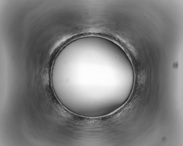 X0000099501262200805221352