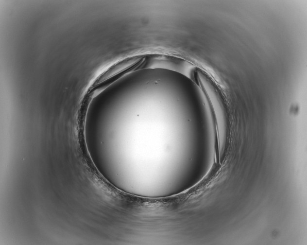 X0000099501264200805221352