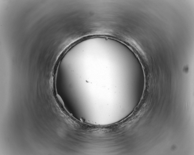 X0000099501268200805221352