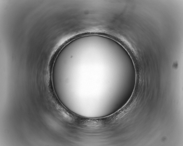 X0000099501270200805221352