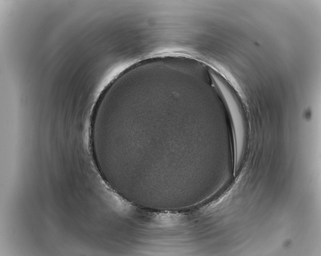 X0000099501277200805221352