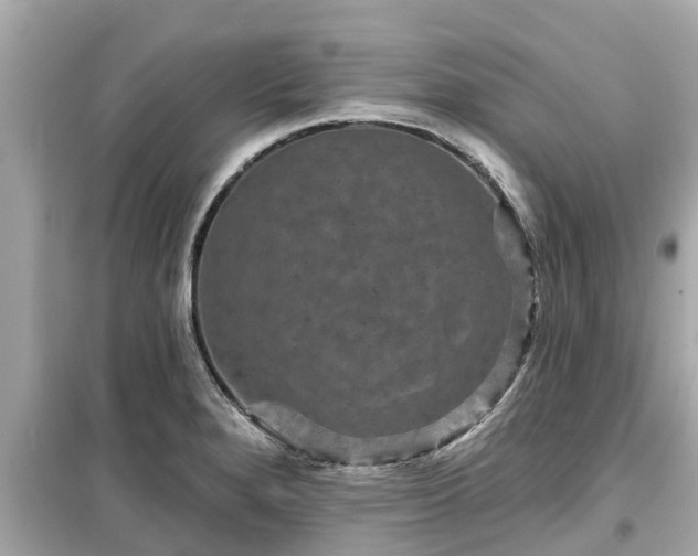 X0000099501280200805221352
