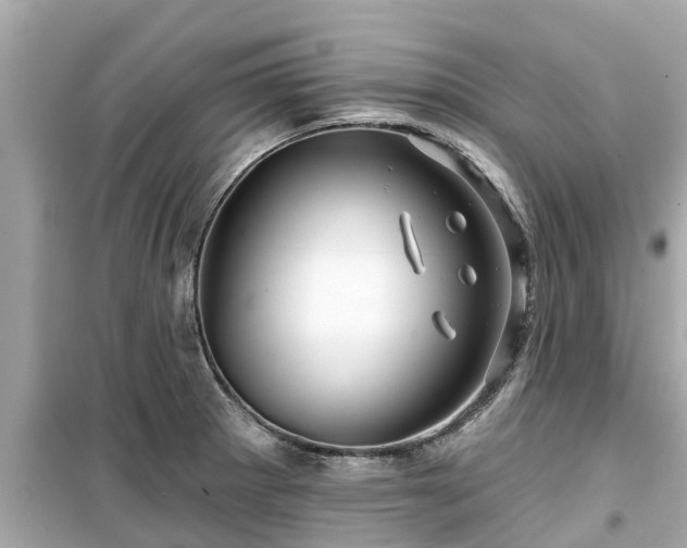 X0000099501281200805221352