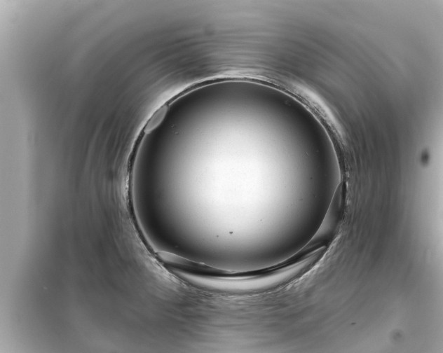 X0000099501284200805221352