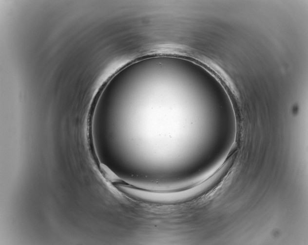 X0000099501285200805221352