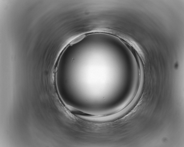 X0000099501292200805221352