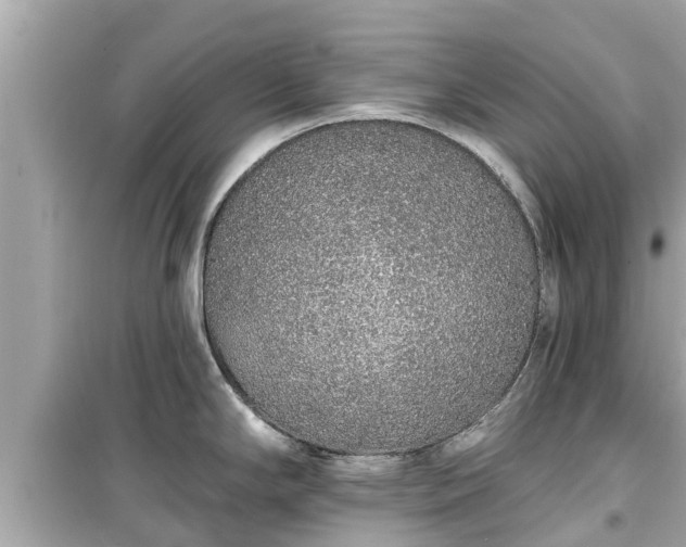 X0000099501294200805221352