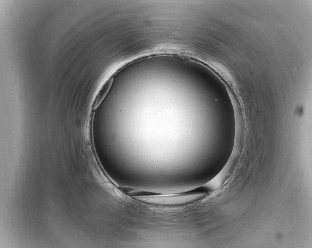 X0000099501296200805221352
