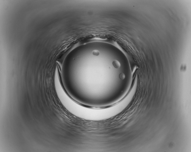 X0000099501298200805221351