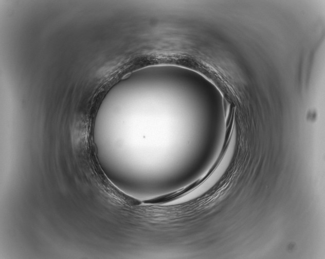 X0000099501300200805221351