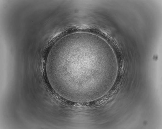X0000099501301200805221351