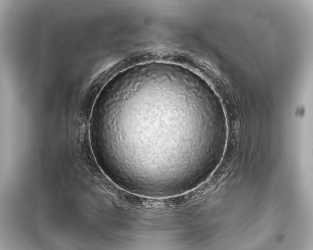 X0000099501302200805221351