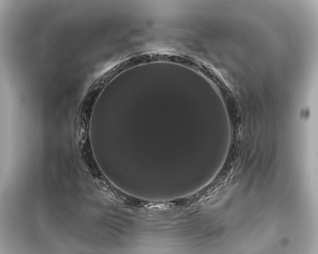 X0000099501303200805221351