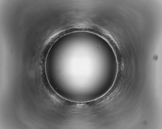 X0000099501304200805221351