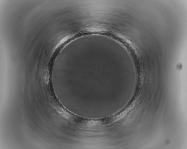 X0000099501306200805221351