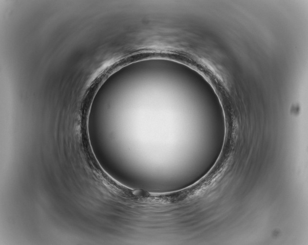X0000099501307200805221351