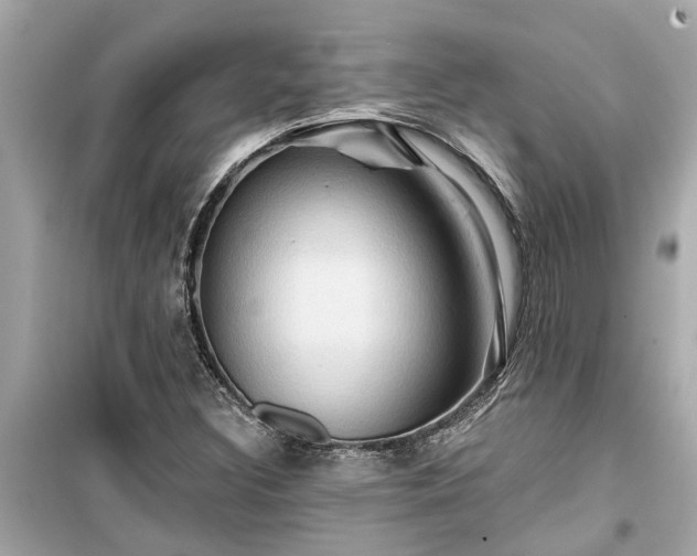 X0000099501308200805221351