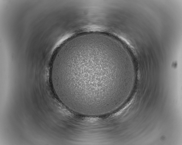 X0000099501309200805221351