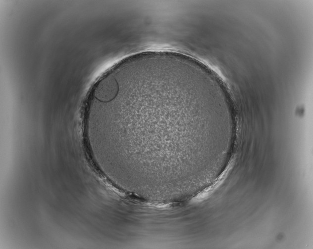 X0000099501311200805221351