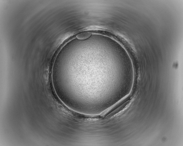 X0000099501313200805221351