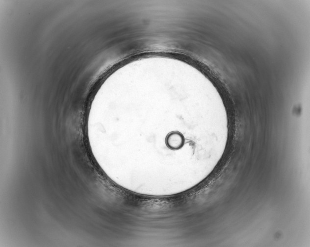 X0000099501314200805221351