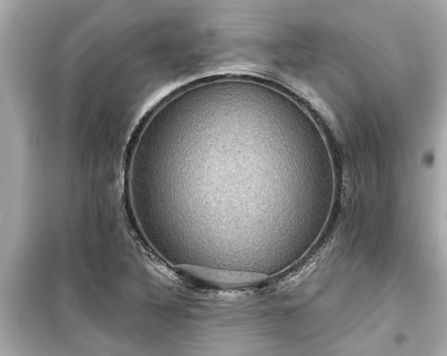 X0000099501316200805221351