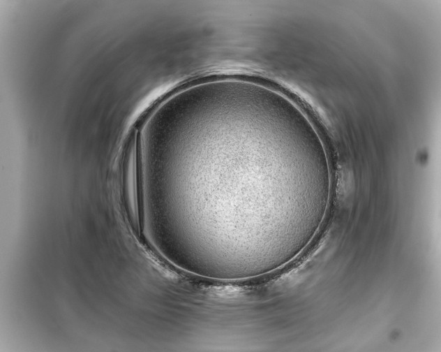 X0000099501317200805221351