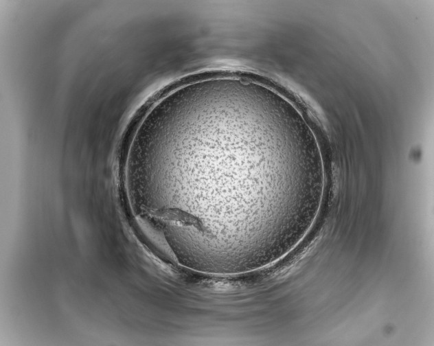 X0000099501318200805221351