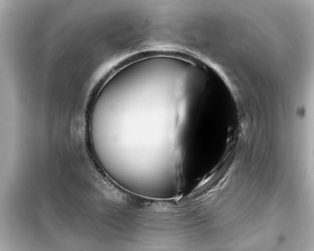 X0000099501319200805221351