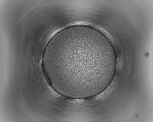 X0000099501321200805221351