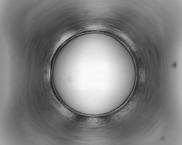 X0000099501322200805221351